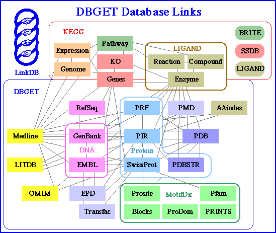 DBGET Database Links Diagram